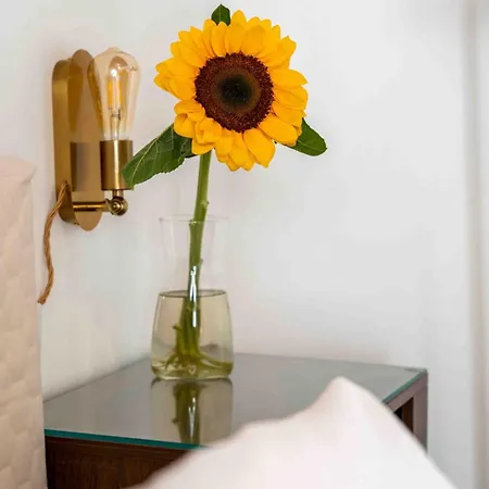 Homestay Regina